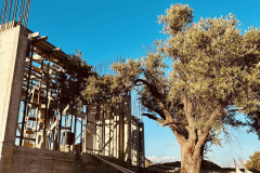 newUnderConstruction2026_017